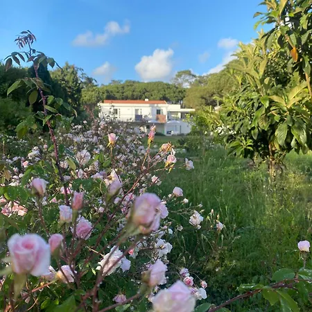 Casa Veiga Villa Colares