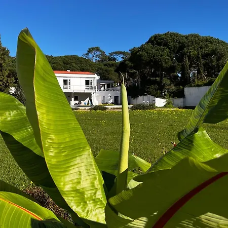 Casa Veiga Colares